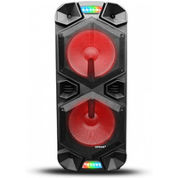 Gonik APA30 system audio Bluetooth Karaoke