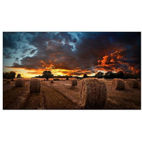 Monitor profesjonalny VM55B-U 55 cali Video Wall Matowy 24h/7 500(cd/m2) 1920 x 1080(FHD) N/A 3 lata On-Site (LH55VMBUBGBXEN)