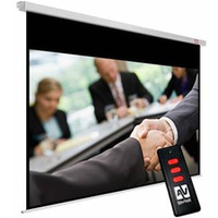 Ekran elektryczny Business Electric 300P (16:10, 300x227cm, powierzchnia biaa, matowa)